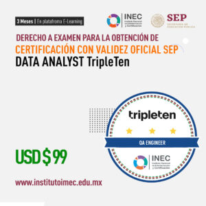Data Analyst