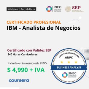 IBM - Analista de Negocios