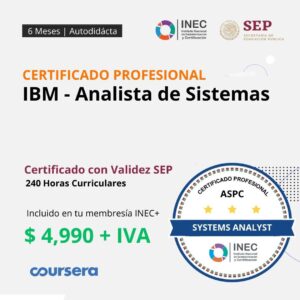 IBM - Analista de Sistemas