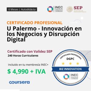 U Palermo - Innovación en los Negocios y Disrupción Digital
