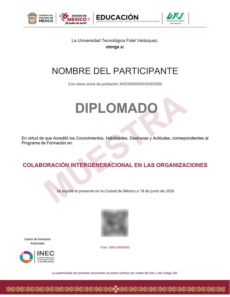 Muestra del certificado: Colaboración intergeneracional en las organizaciones